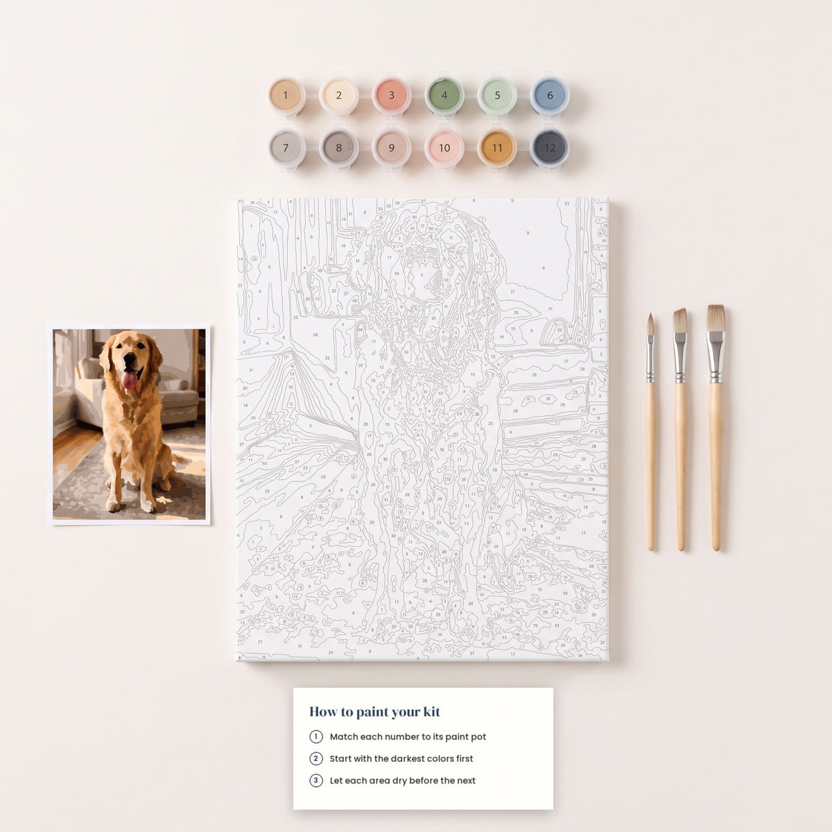 What is in the kit: numbered canvas, numbered paints, three brushes, instructions and reference print