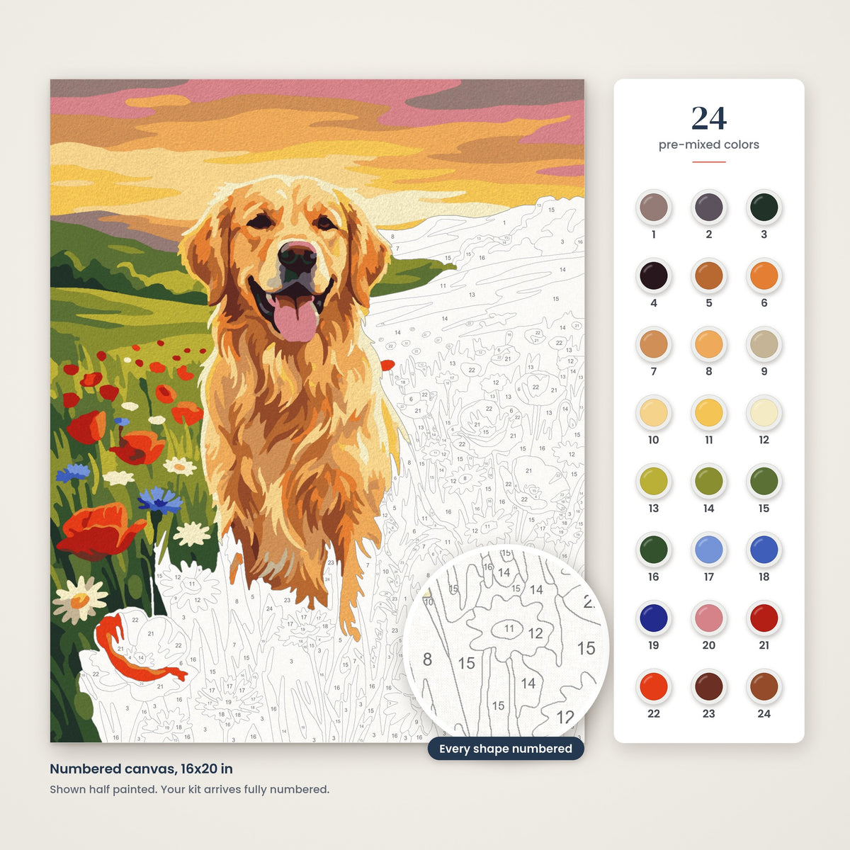 Golden Retriever in Wildflowers numbered canvas, half painted, with the 24 numbered paint colors