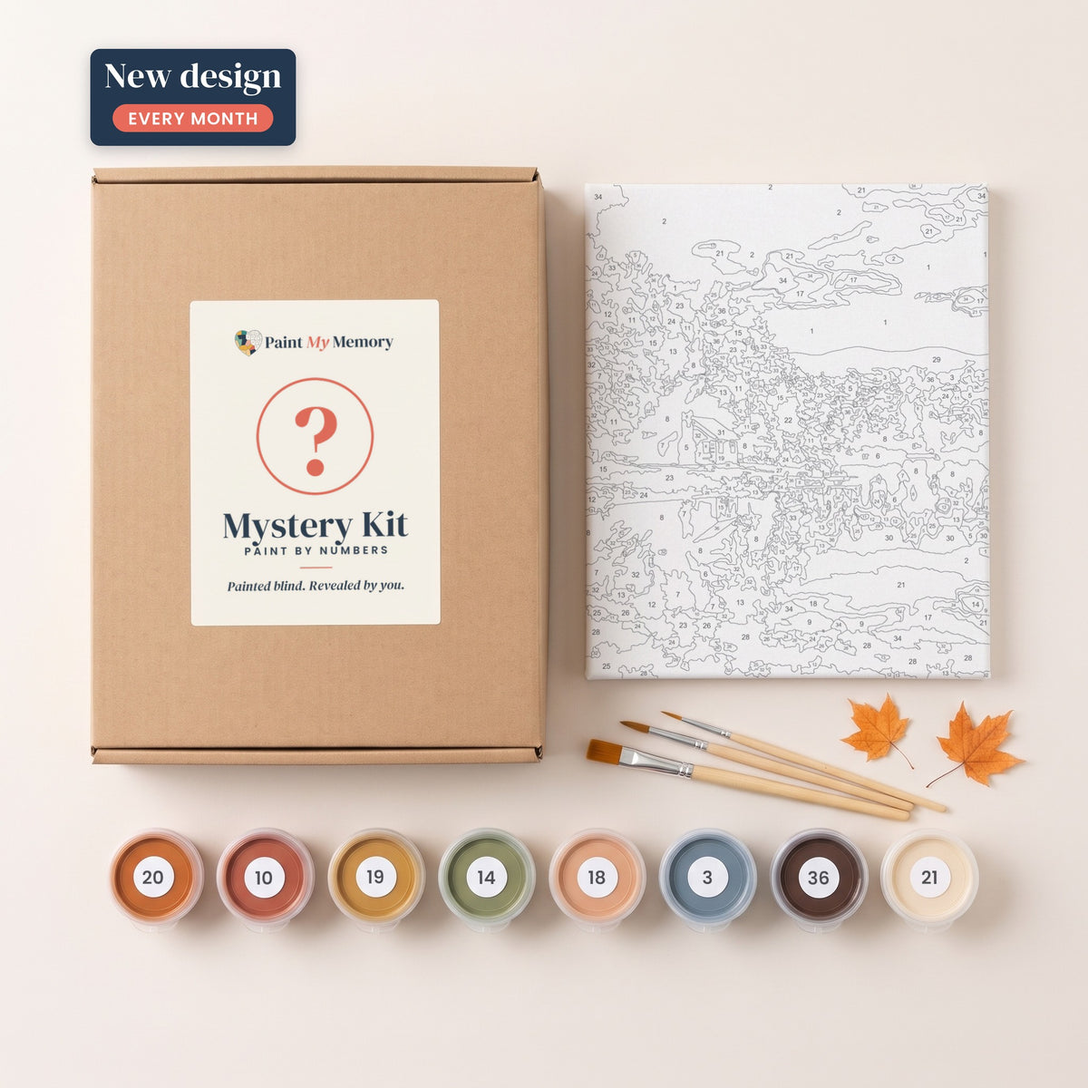 Monthly Mystery Kit: kraft box with a question-mark label, a blank numbered black-and-white canvas, numbered paint pots and brushes