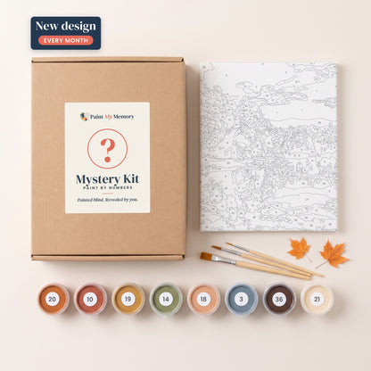 Monthly Mystery Kit: kraft box with a question-mark label, a blank numbered black-and-white canvas, numbered paint pots and brushes